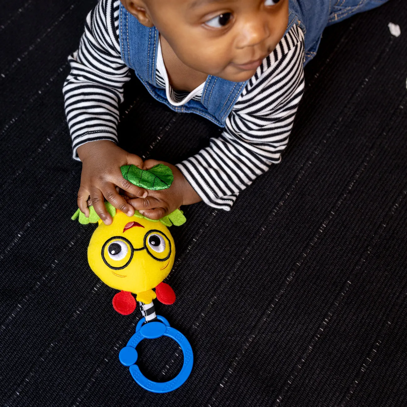 Baby Einstein Cal-A-Puller™ Pull & Shake Toy