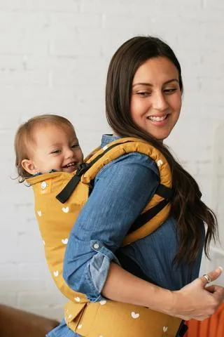 Play Tula Toddler Carrier