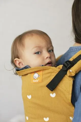 Play Tula Toddler Carrier